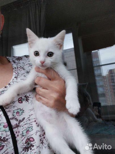 Девочка малышка