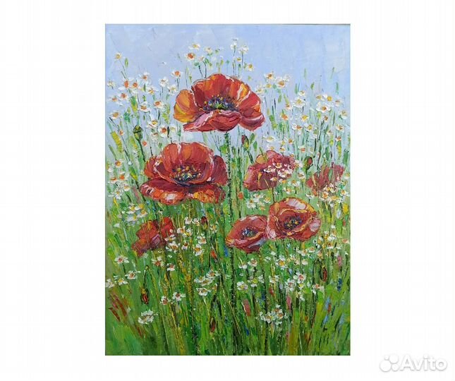 Цветы маки ромашки картина маслом на холсте 30х40