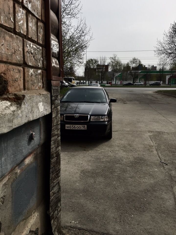 Skoda Octavia: фото владельца