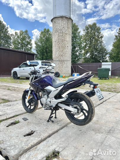 Yamaha fazer 250