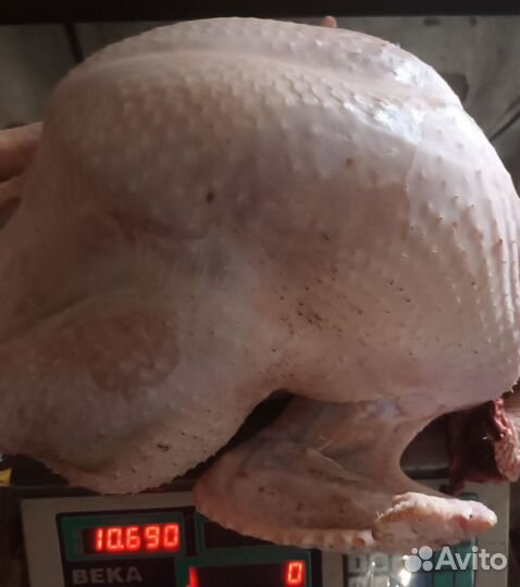 Мясо индейки