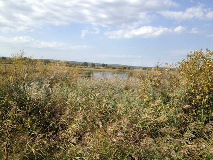 Участок 14,18 га (СНТ, ДНП)