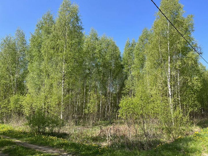 Участок 15 сот. (СНТ, ДНП)