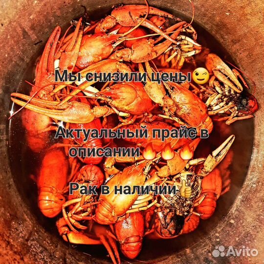 Живые и вареные раки на ул. итр 5а