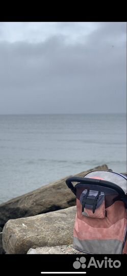 Коляска elodie