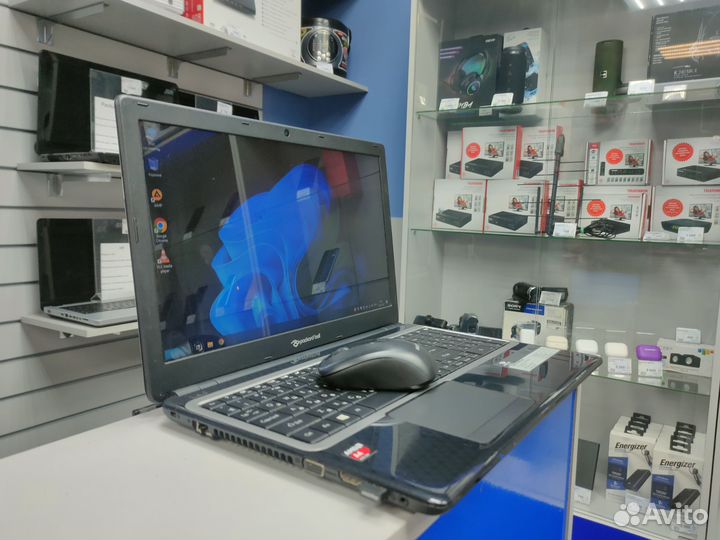 Ноутбук Packard Bell MS2384