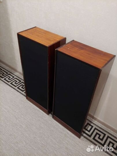 Акустика Эстония