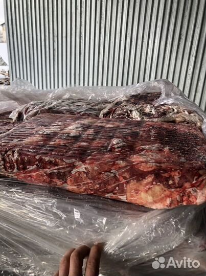 Натуральный корм для собак