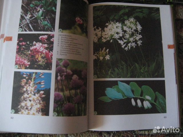 Полная энциклопедия живой природы