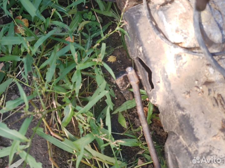 Скутер на запчасти (это не хонда)