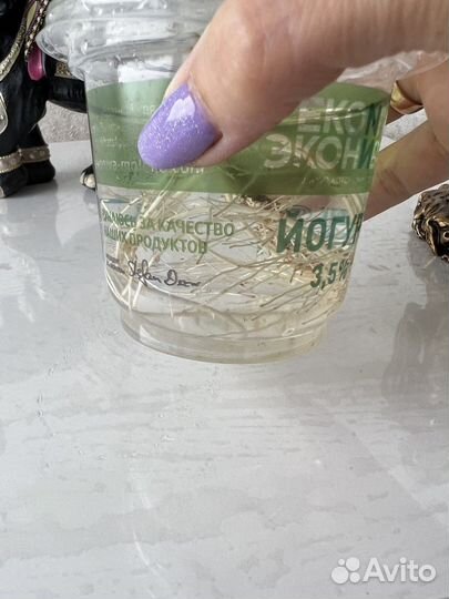 Китайская роза