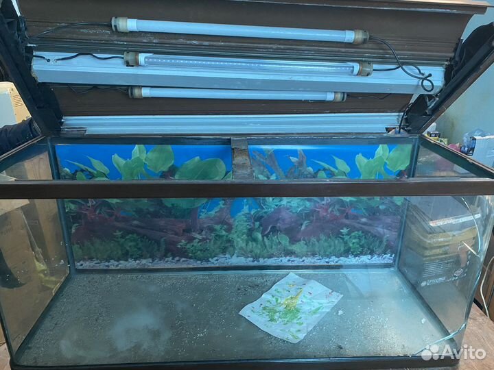 Аквариум