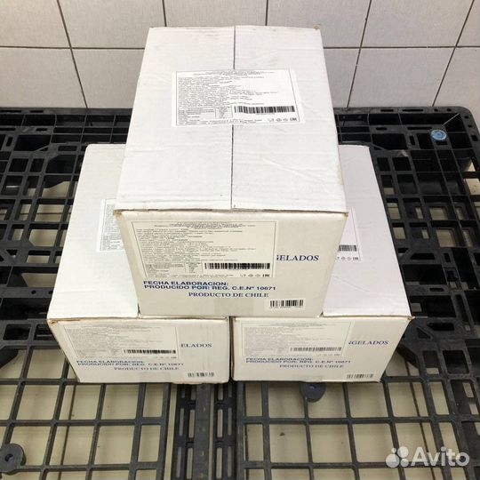 Мидии Голубые в раковине