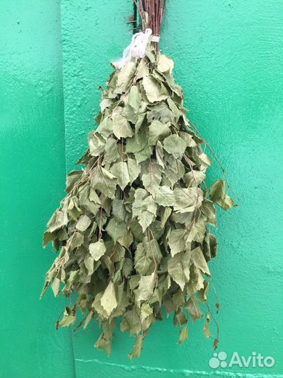 Веники для бани, дубовые 2023