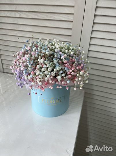 Гипсофила в коробке