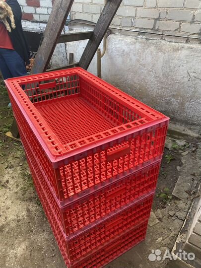 Ящик пластиковый