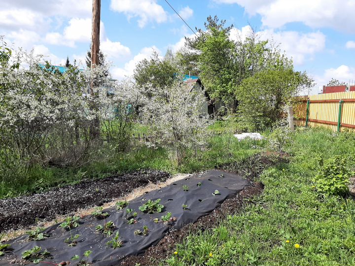 Дача 52 м² на участке 6 сот.