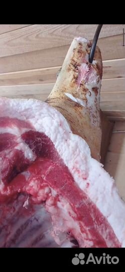 Мясо свинина домашняя