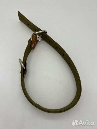 Ошейники для собак