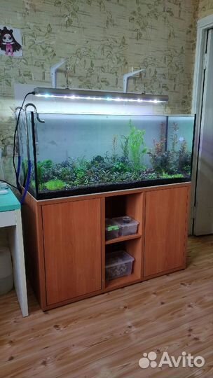 Изготовление аквариумов любых размеров