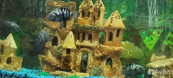 Аквариум с рыбками