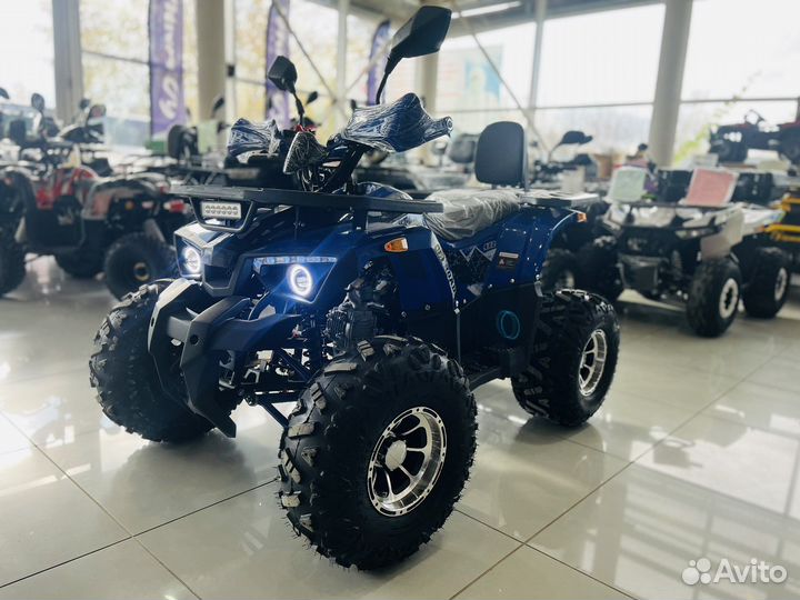 Avantis hunter 8 NEW LUX