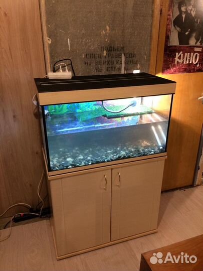 Аквариум для черепах 150 литров с тумбой. Новый