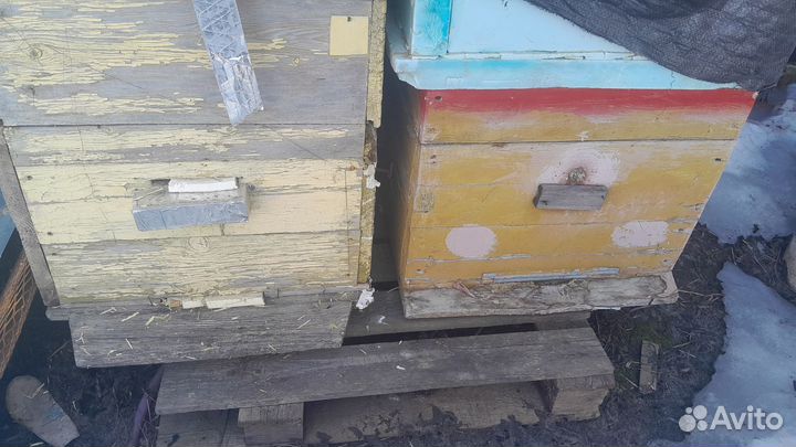 Ули для пчёл