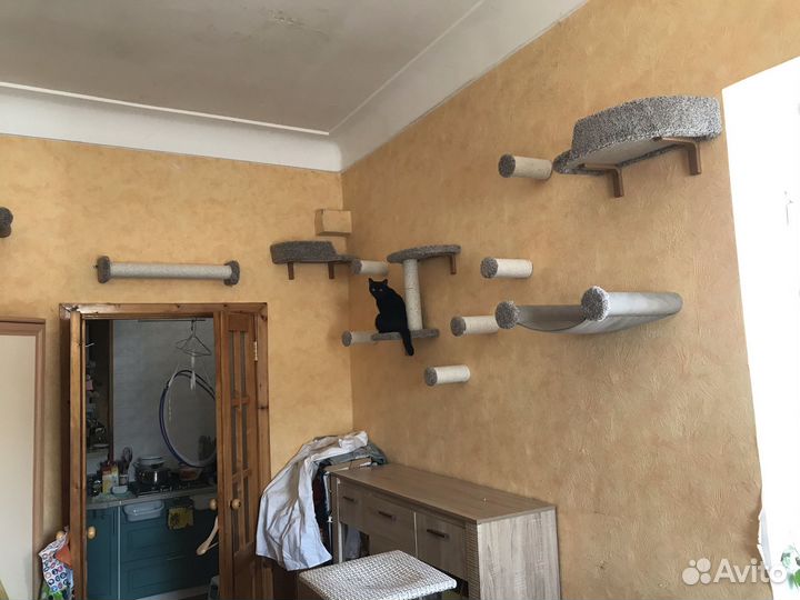 Настенный комплекс для кошек