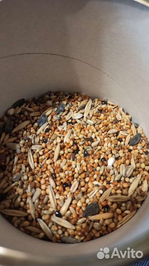 Корм для попугаев