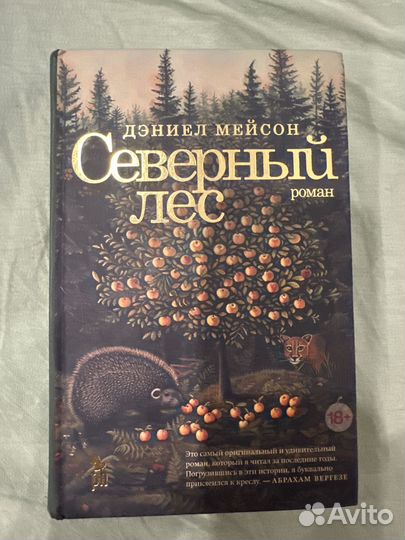 Северный лес. Дэниел Мэйсон