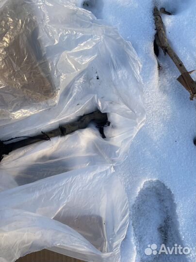 Неисправная Рейка ford focus 2 1.8 под датчик