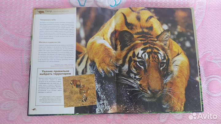 Детские энциклопедии 8 шт цена за все