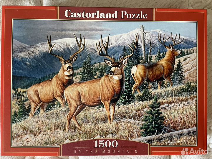 Пазл castorland