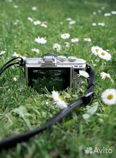 Фотоаппарат olympus pen e-pl8 kit