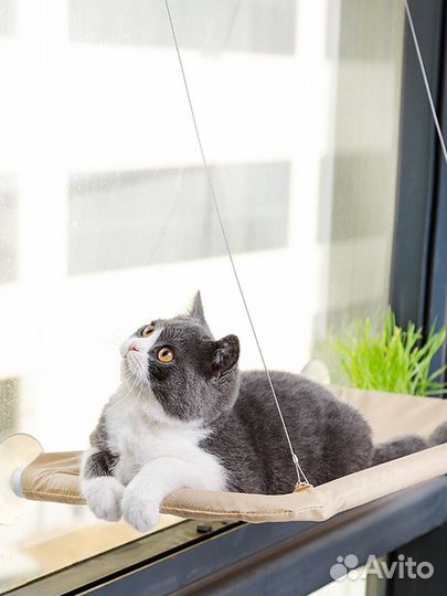 Лежанка гамак для кошек на окно