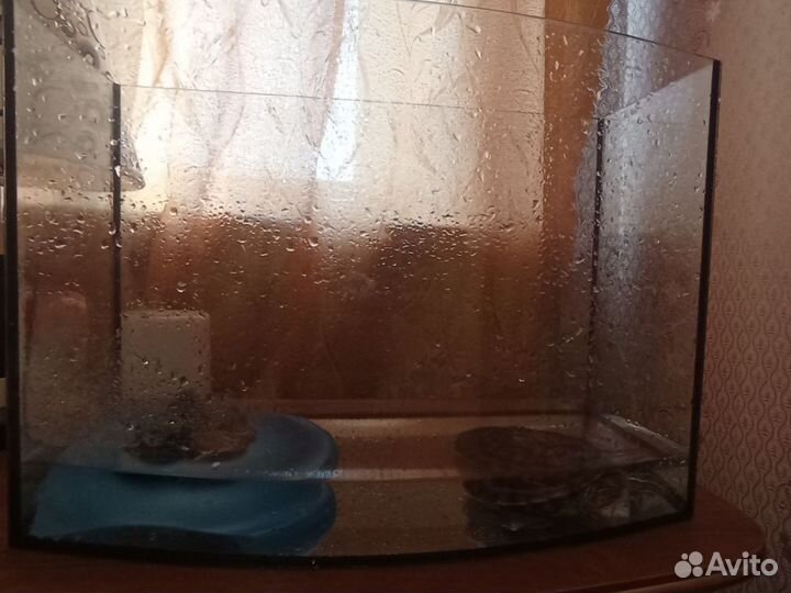 Красноухая черепаха бесплатно