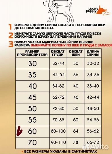 Попона для собак,куртка, комбинезон новая