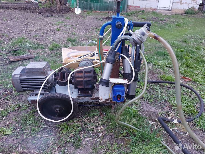 Доильный аппарат бу