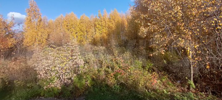 Участок 12 сот. (СНТ, ДНП)