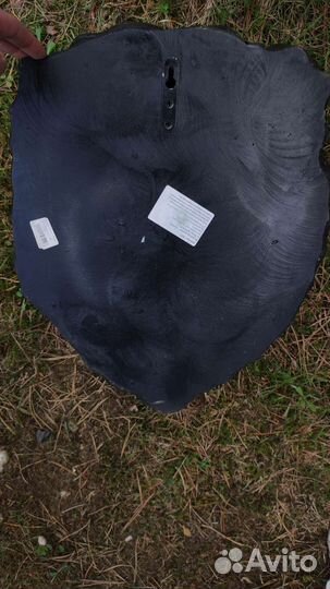 Голова медведя