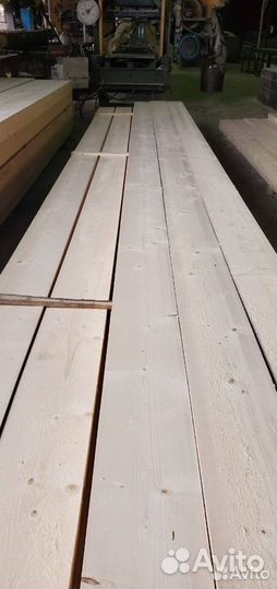 Доска береза. Сухая