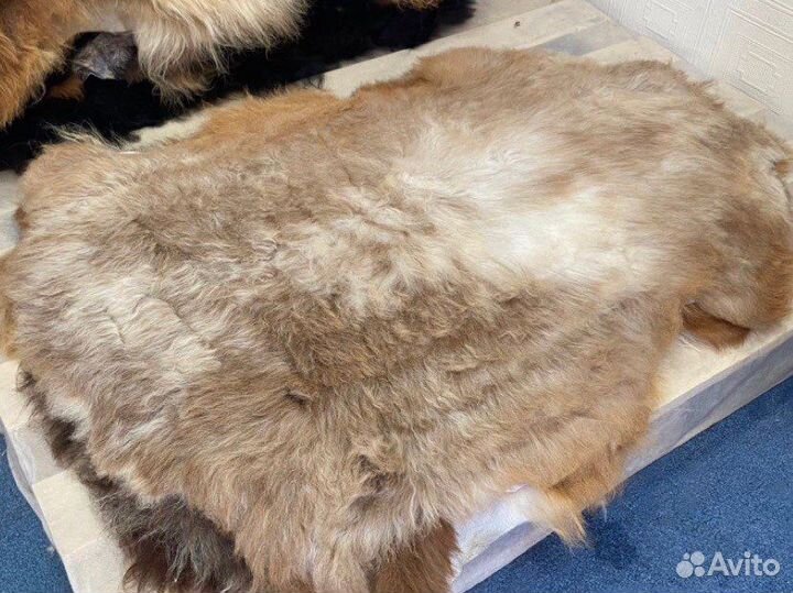 Шкуры овечьи красивые качественные