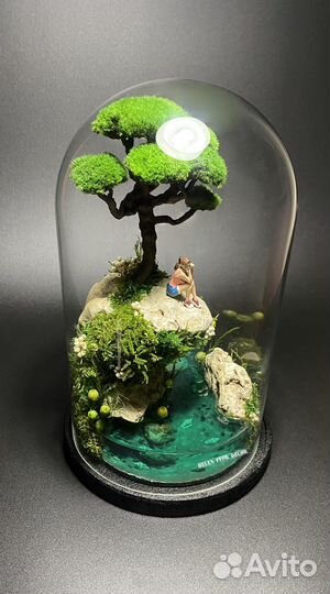 Моссариум - флорариум