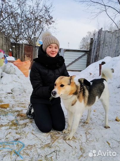 Уход за животными