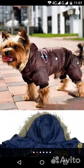 Зимняя куртка для собак