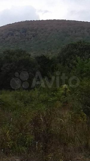 Участок 12,5 сот. (СНТ, ДНП)