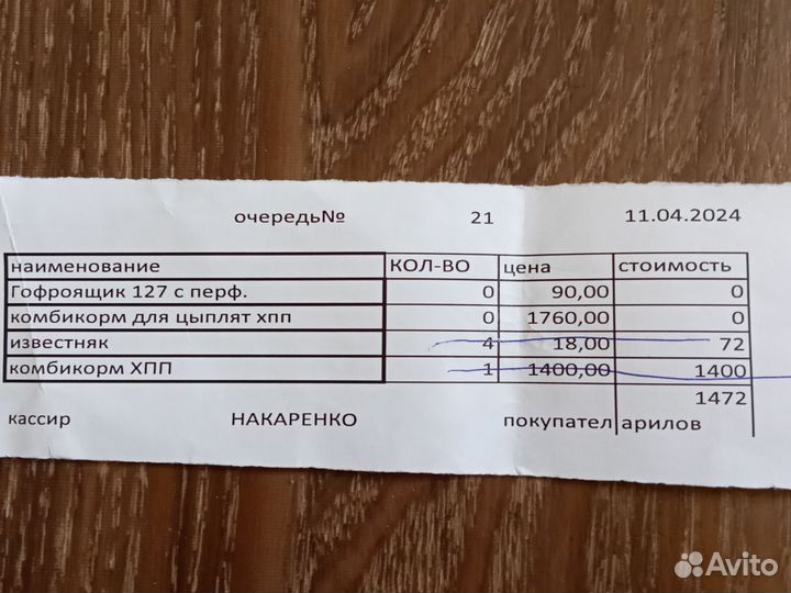 Куры несушки