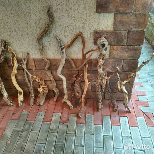 Коряги дрифтвуд