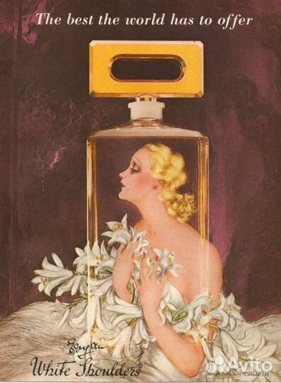 Evyan, White Shoulders